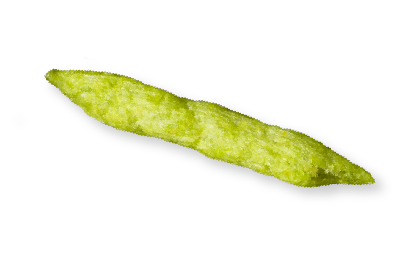 A single green pea crisp on a transparent background.